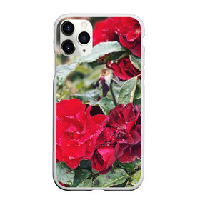 Чехол для iPhone 11 Pro Max матовый с принтом Red Roses в Санкт-Петербурге, Силикон |  | Тематика изображения на принте: bush | floral | flower | garden | green | nature | red roses | бутоны | красная роза | куст | листья | природа | роза | сад | цветение | цветок | цветы