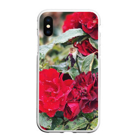 Чехол для iPhone XS Max матовый с принтом Red Roses в Санкт-Петербурге, Силикон | Область печати: задняя сторона чехла, без боковых панелей | bush | floral | flower | garden | green | nature | red roses | бутоны | красная роза | куст | листья | природа | роза | сад | цветение | цветок | цветы