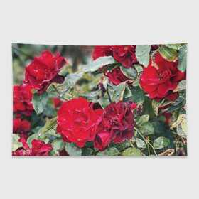Флаг-баннер с принтом Red Roses в Санкт-Петербурге, 100% полиэстер | размер 67 х 109 см, плотность ткани — 95 г/м2; по краям флага есть четыре люверса для крепления | bush | floral | flower | garden | green | nature | red roses | бутоны | красная роза | куст | листья | природа | роза | сад | цветение | цветок | цветы