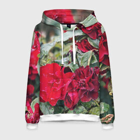Мужская толстовка 3D с принтом Red Roses в Санкт-Петербурге, 100% полиэстер | двухслойный капюшон со шнурком для регулировки, мягкие манжеты на рукавах и по низу толстовки, спереди карман-кенгуру с мягким внутренним слоем. | Тематика изображения на принте: bush | floral | flower | garden | green | nature | red roses | бутоны | красная роза | куст | листья | природа | роза | сад | цветение | цветок | цветы