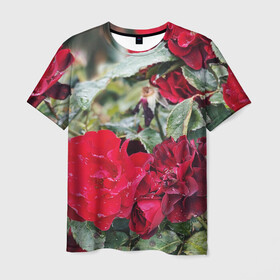 Мужская футболка 3D с принтом Red Roses в Санкт-Петербурге, 100% полиэфир | прямой крой, круглый вырез горловины, длина до линии бедер | bush | floral | flower | garden | green | nature | red roses | бутоны | красная роза | куст | листья | природа | роза | сад | цветение | цветок | цветы