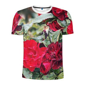 Мужская футболка 3D спортивная с принтом Red Roses в Санкт-Петербурге, 100% полиэстер с улучшенными характеристиками | приталенный силуэт, круглая горловина, широкие плечи, сужается к линии бедра | bush | floral | flower | garden | green | nature | red roses | бутоны | красная роза | куст | листья | природа | роза | сад | цветение | цветок | цветы