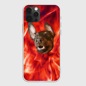 Чехол для iPhone 12 Pro Max с принтом Огненый Пес в Санкт-Петербурге, Силикон |  | Тематика изображения на принте: голова | горячий | горящий | доберман | животное | зверек | зверь | зубы | клык | красный | лицо | овчарка | огонь | пес | пламя | рот | ротвейлер | свет | собака | удивленный | улыбка | щенок