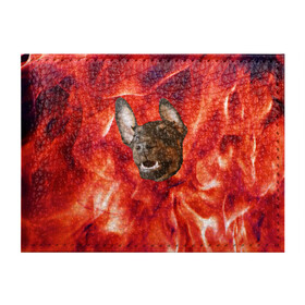 Обложка для студенческого билета с принтом Огненый Пес в Санкт-Петербурге, натуральная кожа | Размер: 11*8 см; Печать на всей внешней стороне | Тематика изображения на принте: голова | горячий | горящий | доберман | животное | зверек | зверь | зубы | клык | красный | лицо | овчарка | огонь | пес | пламя | рот | ротвейлер | свет | собака | удивленный | улыбка | щенок