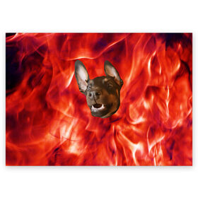Поздравительная открытка с принтом Огненый Пес в Санкт-Петербурге, 100% бумага | плотность бумаги 280 г/м2, матовая, на обратной стороне линовка и место для марки
 | голова | горячий | горящий | доберман | животное | зверек | зверь | зубы | клык | красный | лицо | овчарка | огонь | пес | пламя | рот | ротвейлер | свет | собака | удивленный | улыбка | щенок