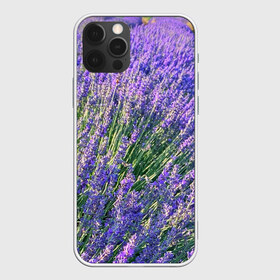 Чехол для iPhone 12 Pro Max с принтом Lavender field в Санкт-Петербурге, Силикон |  | field | green | lavender | nature | summer | violet | бутон | клумба. | лаванда | лето | лиловый | поле | сиреневый | фиолетовый | цветение | цветок | цветы