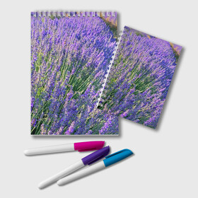 Блокнот с принтом Lavender field в Санкт-Петербурге, 100% бумага | 48 листов, плотность листов — 60 г/м2, плотность картонной обложки — 250 г/м2. Листы скреплены удобной пружинной спиралью. Цвет линий — светло-серый
 | field | green | lavender | nature | summer | violet | бутон | клумба. | лаванда | лето | лиловый | поле | сиреневый | фиолетовый | цветение | цветок | цветы