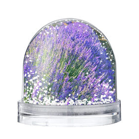 Снежный шар с принтом Lavender field в Санкт-Петербурге, Пластик | Изображение внутри шара печатается на глянцевой фотобумаге с двух сторон | field | green | lavender | nature | summer | violet | бутон | клумба. | лаванда | лето | лиловый | поле | сиреневый | фиолетовый | цветение | цветок | цветы