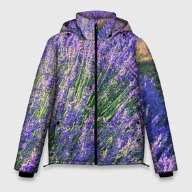 Мужская зимняя куртка 3D с принтом Lavender field в Санкт-Петербурге, верх — 100% полиэстер; подкладка — 100% полиэстер; утеплитель — 100% полиэстер | длина ниже бедра, свободный силуэт Оверсайз. Есть воротник-стойка, отстегивающийся капюшон и ветрозащитная планка. 

Боковые карманы с листочкой на кнопках и внутренний карман на молнии. | field | green | lavender | nature | summer | violet | бутон | клумба. | лаванда | лето | лиловый | поле | сиреневый | фиолетовый | цветение | цветок | цветы