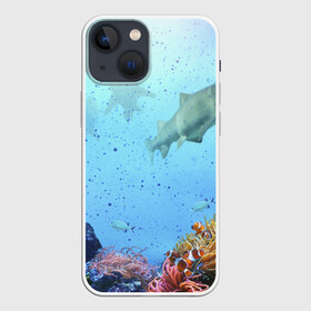 Чехол для iPhone 13 mini с принтом акулы в Санкт-Петербурге,  |  | аквариум | акула | море | морской житель | океан