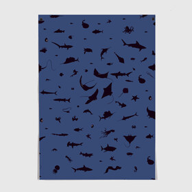 Постер с принтом Manta в Санкт-Петербурге, 100% бумага
 | бумага, плотность 150 мг. Матовая, но за счет высокого коэффициента гладкости имеет небольшой блеск и дает на свету блики, но в отличии от глянцевой бумаги не покрыта лаком | dolphin | fish | killer whale | manta | see life | shark | акула | дельфин | касатка | морские обитатели | рыба