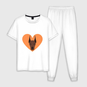 Мужская пижама хлопок с принтом Сердечный Доберман в Санкт-Петербурге, 100% хлопок | брюки и футболка прямого кроя, без карманов, на брюках мягкая резинка на поясе и по низу штанин
 | Тематика изображения на принте: доберман | животное | клыки | коричневый | красный | лапы | любовь | оранжевый | пес | питомец | подарок | сердце | собака | улыбка | шерсть | щенок
