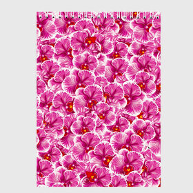 Скетчбук с принтом Розовые орхидеи в Санкт-Петербурге, 100% бумага
 | 48 листов, плотность листов — 100 г/м2, плотность картонной обложки — 250 г/м2. Листы скреплены сверху удобной пружинной спиралью | Тематика изображения на принте: fashion flowers | pink | tropical | азия | бабочки | бразилия | букет | бутоны | джунгли | лепестки | лето | любимая | марта | нежные | орхидея | подарок | природа | растения | тропики | тропические | узор | цветение