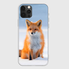 Чехол для iPhone 12 Pro Max с принтом Лиса в Санкт-Петербурге, Силикон |  | Тематика изображения на принте: fox | foxy | животные | звери | зима | зимняя | лиса | лисичка | лисы | природа | снег | снежная