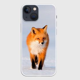 Чехол для iPhone 13 mini с принтом FOX AND SNOW в Санкт-Петербурге,  |  | Тематика изображения на принте: fox | foxy | животные | звери | зима | зимняя | лиса | лисичка | лисы | природа | снег | снежная
