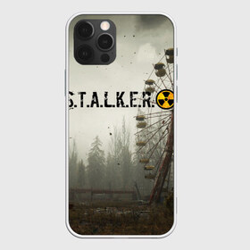 Чехол для iPhone 12 Pro Max с принтом STALKER 2 в Санкт-Петербурге, Силикон |  | Тематика изображения на принте: gsc game world | s.t.a.l.k.e.r. | stalker | stalker 2 | постапокалиптический шутер | сталкер | сталкер 2 | шутер