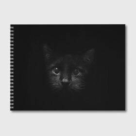 Альбом для рисования с принтом черный кот в Санкт-Петербурге, 100% бумага
 | матовая бумага, плотность 200 мг. | животные | зайка | заяц | звери | зевающий кот | кися | кот | котенок | котики | коты | кричащий кот | кролик | минимализм | питомцы | прикольные картинки