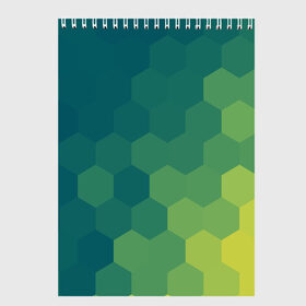 Скетчбук с принтом Hexagon в Санкт-Петербурге, 100% бумага
 | 48 листов, плотность листов — 100 г/м2, плотность картонной обложки — 250 г/м2. Листы скреплены сверху удобной пружинной спиралью | орнамент | текстуры | узор | шестиугольник
