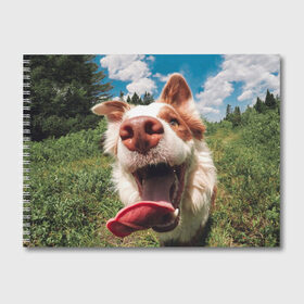 Альбом для рисования с принтом Собака с языком в Санкт-Петербурге, 100% бумага
 | матовая бумага, плотность 200 мг. | Тематика изображения на принте: dog | дворняга | дворняжка | зубы | лапы | лес | мем | пес | прикол | слюни | смешные животные | собака | собака с языком | щенок | юмор | язык