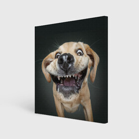 Холст квадратный с принтом Улыбающаяся Собака в Санкт-Петербурге, 100% ПВХ |  | Тематика изображения на принте: dog | зубы | лапы | мем | пес | прикол | слюни | смешные животные | собака | собачка | улыбающаяся собака | улыбка | щенок | юмор | язык