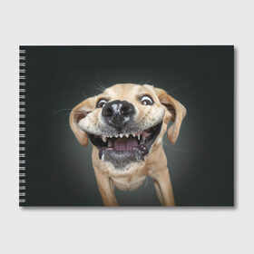 Альбом для рисования с принтом Улыбающаяся Собака в Санкт-Петербурге, 100% бумага
 | матовая бумага, плотность 200 мг. | Тематика изображения на принте: dog | зубы | лапы | мем | пес | прикол | слюни | смешные животные | собака | собачка | улыбающаяся собака | улыбка | щенок | юмор | язык