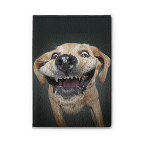 Обложка для автодокументов с принтом Улыбающаяся Собака в Санкт-Петербурге, натуральная кожа |  размер 19,9*13 см; внутри 4 больших “конверта” для документов и один маленький отдел — туда идеально встанут права | Тематика изображения на принте: dog | зубы | лапы | мем | пес | прикол | слюни | смешные животные | собака | собачка | улыбающаяся собака | улыбка | щенок | юмор | язык