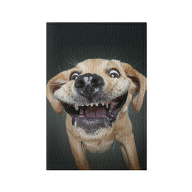 Обложка для паспорта матовая кожа с принтом Улыбающаяся Собака в Санкт-Петербурге, натуральная матовая кожа | размер 19,3 х 13,7 см; прозрачные пластиковые крепления | Тематика изображения на принте: dog | зубы | лапы | мем | пес | прикол | слюни | смешные животные | собака | собачка | улыбающаяся собака | улыбка | щенок | юмор | язык