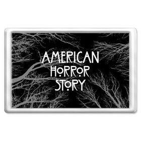 Магнит 45*70 с принтом American Horror Story. в Санкт-Петербурге, Пластик | Размер: 78*52 мм; Размер печати: 70*45 | american horror story | netflix | американ хоррор стори | американская история ужасов | драма | загадочные события | кино | мини сериал | нетфликс | очень странные дела | сериалы | триллер | ужасы | фантастика