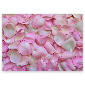 Поздравительная открытка с принтом Лепестки роз в Санкт-Петербурге, 100% бумага | плотность бумаги 280 г/м2, матовая, на обратной стороне линовка и место для марки
 | rose | лепестки | лепесточки | лист | листики | листочек | листья | природа | растение | растения | роз | роза | розовые | розовый | розочка | розочки | розы | флора | цветок | цветочки | цветы