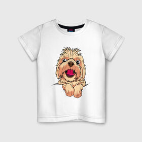 Детская футболка хлопок с принтом Ши-Тцу в Санкт-Петербурге, 100% хлопок | круглый вырез горловины, полуприлегающий силуэт, длина до линии бедер | dog | зубы | лапы | мем | пес | прикол | смешные животные | собака | собачка | ши тсу | ши тцу | шитсу | шитцу | щенок | юмор | язык