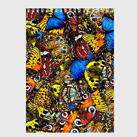 Скетчбук с принтом Ночные Бабочки в Санкт-Петербурге, 100% бумага
 | 48 листов, плотность листов — 100 г/м2, плотность картонной обложки — 250 г/м2. Листы скреплены сверху удобной пружинной спиралью | animals | butterfly | pattern | акварель | бабочка | бабочки | животные | крылышки | крылья | насекомые | ночные бабочки | паттерн | рисунок | тропические бабочки | цветные бабочки