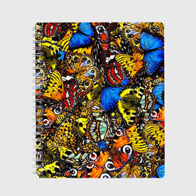 Тетрадь с принтом Ночные Бабочки в Санкт-Петербурге, 100% бумага | 48 листов, плотность листов — 60 г/м2, плотность картонной обложки — 250 г/м2. Листы скреплены сбоку удобной пружинной спиралью. Уголки страниц и обложки скругленные. Цвет линий — светло-серый
 | animals | butterfly | pattern | акварель | бабочка | бабочки | животные | крылышки | крылья | насекомые | ночные бабочки | паттерн | рисунок | тропические бабочки | цветные бабочки