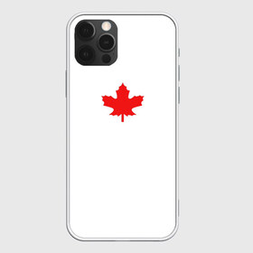 Чехол для iPhone 12 Pro Max с принтом Canada forever в Санкт-Петербурге, Силикон |  | aesthetic | autum | bts | canada | doomer | lofi | pumkin | абстракция | аниме | канада | киберпанк | листья | осень | текстуры | тыква | эстетика