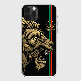Чехол для iPhone 12 Pro Max с принтом Таджикистан в Санкт-Петербурге, Силикон |  | crown | evil | golden | islam | lion | republic | stars | tajikistan | звезды | злой | золотой | ислам | корона | лев | республика | таджикистан