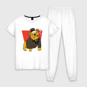 Женская пижама хлопок с принтом Правильный английский бульдог в Санкт-Петербурге, 100% хлопок | брюки и футболка прямого кроя, без карманов, на брюках мягкая резинка на поясе и по низу штанин | Тематика изображения на принте: buldog | bulldog | dog | duke | english | englishman | gentleman | jacket | lord | proper | sigar | sir | true | англичанин | бульдожка | в костюме | граф | джентльмен | лорд | настоящий | песик | пиджак | порода | породистый | сэр |