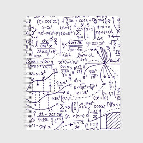 Тетрадь с принтом Формулы в Санкт-Петербурге, 100% бумага | 48 листов, плотность листов — 60 г/м2, плотность картонной обложки — 250 г/м2. Листы скреплены сбоку удобной пружинной спиралью. Уголки страниц и обложки скругленные. Цвет линий — светло-серый
 | алгебра | математика | математические формулы | наука | научные формулы | формулы