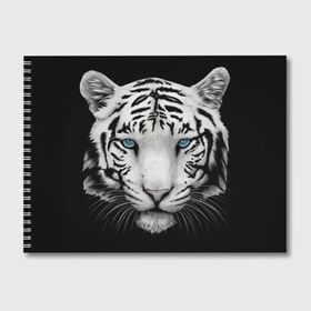 Альбом для рисования с принтом Белый тигр в Санкт-Петербурге, 100% бумага
 | матовая бумага, плотность 200 мг. | Тематика изображения на принте: белый тигр | крупный тигр | крупным планом | с голубыми глазами | тигры