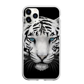 Чехол для iPhone 11 Pro Max матовый с принтом Белый тигр в Санкт-Петербурге, Силикон |  | белый тигр | крупный тигр | крупным планом | с голубыми глазами | тигры
