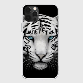 Чехол для iPhone 12 Pro Max с принтом Белый тигр в Санкт-Петербурге, Силикон |  | белый тигр | крупный тигр | крупным планом | с голубыми глазами | тигры