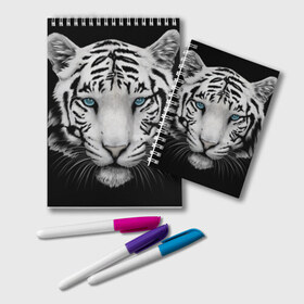 Блокнот с принтом Белый тигр в Санкт-Петербурге, 100% бумага | 48 листов, плотность листов — 60 г/м2, плотность картонной обложки — 250 г/м2. Листы скреплены удобной пружинной спиралью. Цвет линий — светло-серый
 | белый тигр | крупный тигр | крупным планом | с голубыми глазами | тигры