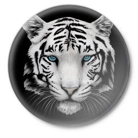 Значок с принтом Белый тигр в Санкт-Петербурге,  металл | круглая форма, металлическая застежка в виде булавки | белый тигр | крупный тигр | крупным планом | с голубыми глазами | тигры