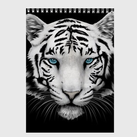 Скетчбук с принтом Белый тигр в Санкт-Петербурге, 100% бумага
 | 48 листов, плотность листов — 100 г/м2, плотность картонной обложки — 250 г/м2. Листы скреплены сверху удобной пружинной спиралью | белый тигр | крупный тигр | крупным планом | с голубыми глазами | тигры