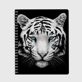 Тетрадь с принтом Белый тигр в Санкт-Петербурге, 100% бумага | 48 листов, плотность листов — 60 г/м2, плотность картонной обложки — 250 г/м2. Листы скреплены сбоку удобной пружинной спиралью. Уголки страниц и обложки скругленные. Цвет линий — светло-серый
 | белый тигр | крупный тигр | крупным планом | с голубыми глазами | тигры
