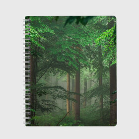 Тетрадь с принтом Тропический лес в Санкт-Петербурге, 100% бумага | 48 листов, плотность листов — 60 г/м2, плотность картонной обложки — 250 г/м2. Листы скреплены сбоку удобной пружинной спиралью. Уголки страниц и обложки скругленные. Цвет линий — светло-серый
 | деревья | джунгли | зеленый лес | зелень | лес | тропики | тропический лес