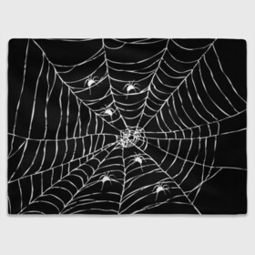 Плед 3D с принтом Паутина с пауками в Санкт-Петербурге, 100% полиэстер | закругленные углы, все края обработаны. Ткань не мнется и не растягивается | black and white | darkness | halloween | horror | night | spider | web | готика | жуки | жуткий | мальчикам | насекомые | нечисть | нити | ночные | ночь | пауки | паутина | подарок | сетка | страшный | темный | тьма | хеллоуин | хоррор