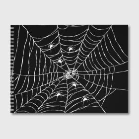 Альбом для рисования с принтом Паутина с пауками в Санкт-Петербурге, 100% бумага
 | матовая бумага, плотность 200 мг. | Тематика изображения на принте: black and white | darkness | halloween | horror | night | spider | web | готика | жуки | жуткий | мальчикам | насекомые | нечисть | нити | ночные | ночь | пауки | паутина | подарок | сетка | страшный | темный | тьма | хеллоуин | хоррор