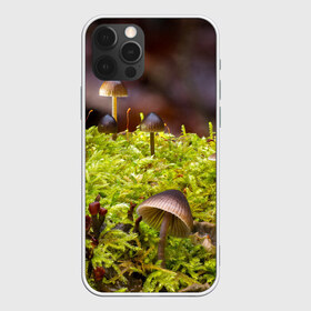 Чехол для iPhone 12 Pro Max с принтом Мох в Санкт-Петербурге, Силикон |  | гриб | грибы | дерево | деревья | зелёные | зелёный | зелень | лес | леса | лесной | мох | мхи | пенёк | пеньки | пни | поганка | поганки | природа | природный | флора