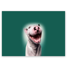 Поздравительная открытка с принтом Bully в Санкт-Петербурге, 100% бумага | плотность бумаги 280 г/м2, матовая, на обратной стороне линовка и место для марки
 | Тематика изображения на принте: bull terrier | ears | eyes | fangs | jaw | muzzle | nose | smile | бультерьер | глаза | клыки | нос | пасть | улыбка | уши