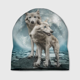 Шапка 3D с принтом Волки альбиносы в Санкт-Петербурге, 100% полиэстер | универсальный размер, печать по всей поверхности изделия | альбинос | волк | волки | волчата | волчонок | зверь