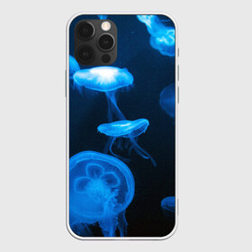 Чехол для iPhone 12 Pro Max с принтом Медуза в Санкт-Петербурге, Силикон |  | medusozoa | медуза | медузы | морское животное | ядовитая медуза